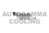 AUTOGAMMA 103623 Intercooler, charger